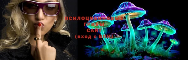 синтетический гашиш Новозыбков