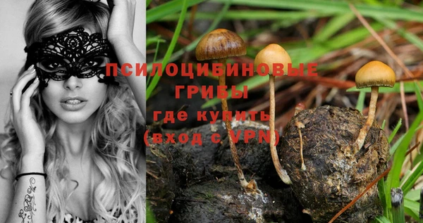 трава Няндома