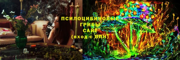 первитин Новодвинск