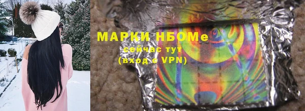 трава Няндома