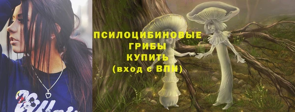 jwh Аша