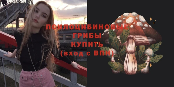 первитин Новодвинск