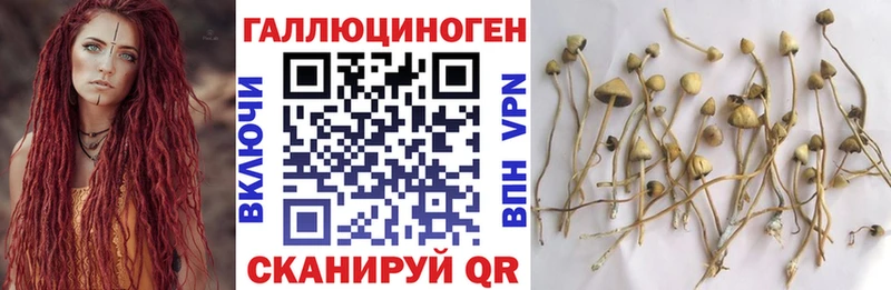 цена   маркетплейс клад  Псилоцибиновые грибы GOLDEN TEACHER  Любим  блэк спрут зеркало 