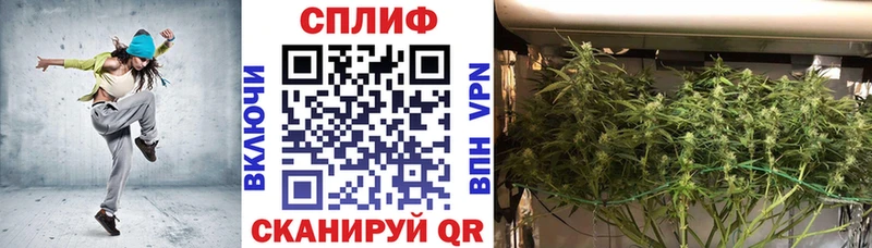 закладка  Любим  Канабис Bruce Banner 